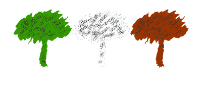 United Company Srl