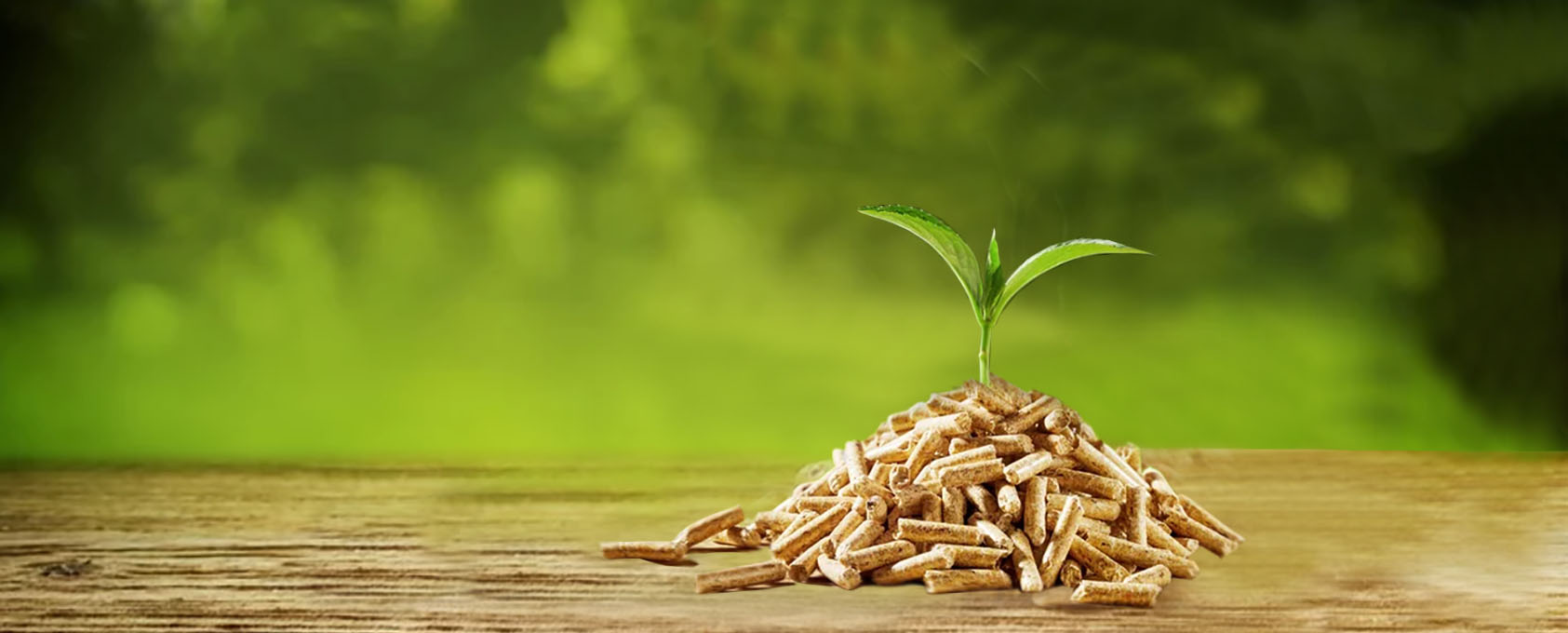 united company srl pellets