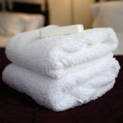united company spugne da bagno