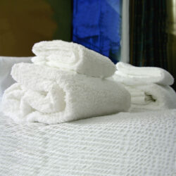 united company spugne da bagno